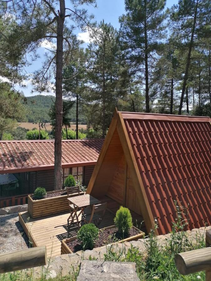 Camping La Ribera Salada Ogern Dış mekan fotoğraf