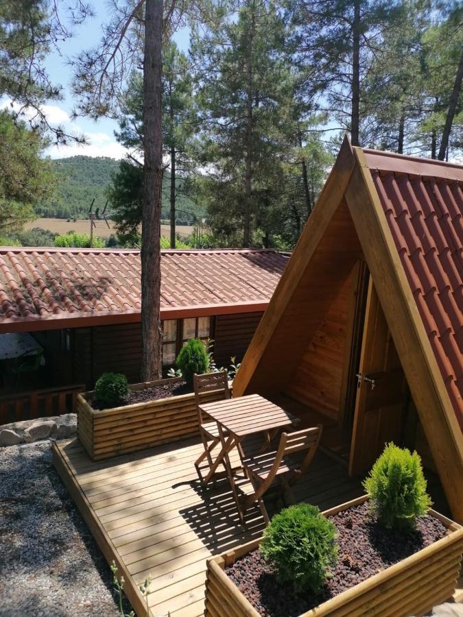 Camping La Ribera Salada Ogern Dış mekan fotoğraf